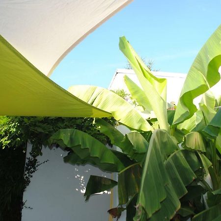 Chambres D'Hotes La Tribu Quévreville-la-Poterie Exterior foto